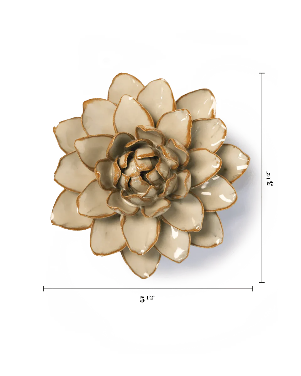 Oatmeal Starbrite Water Lily - Image 3