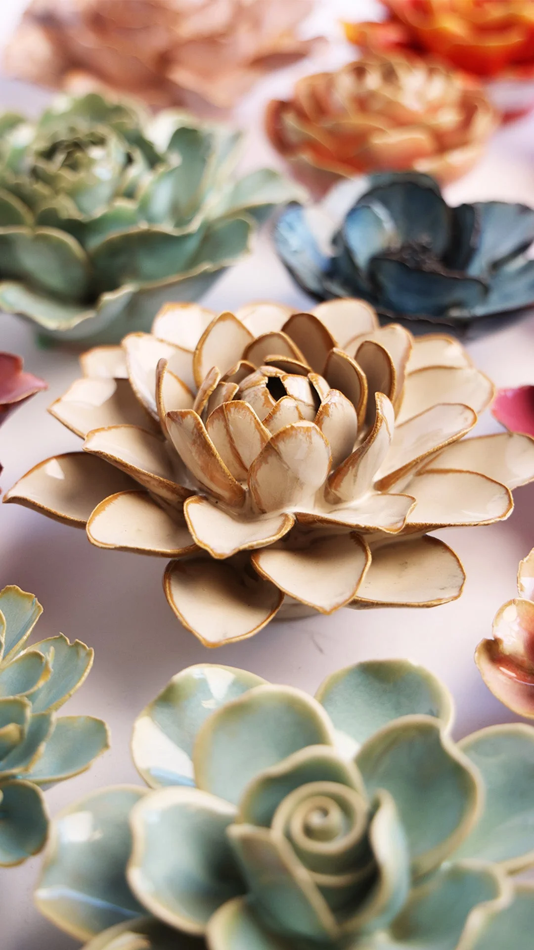 Oatmeal Starbrite Water Lily - Image 4