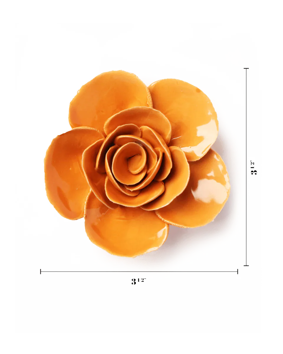 Orange Elegance Ranunculus - Image 3