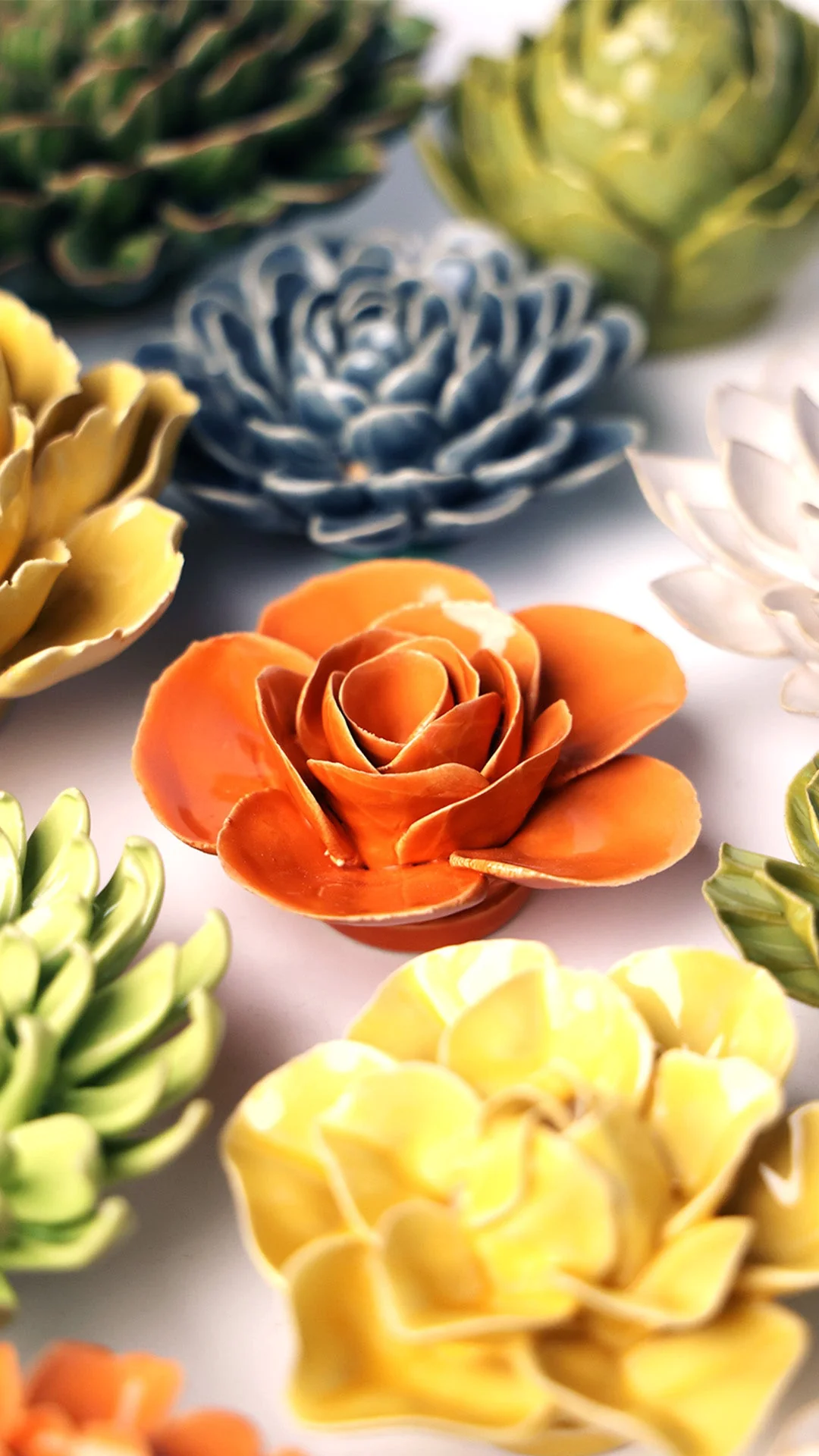 Orange Elegance Ranunculus - Image 4