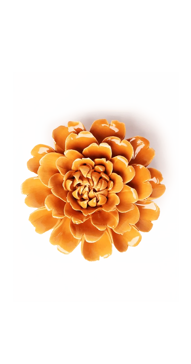 Orange Fiesta Marigold