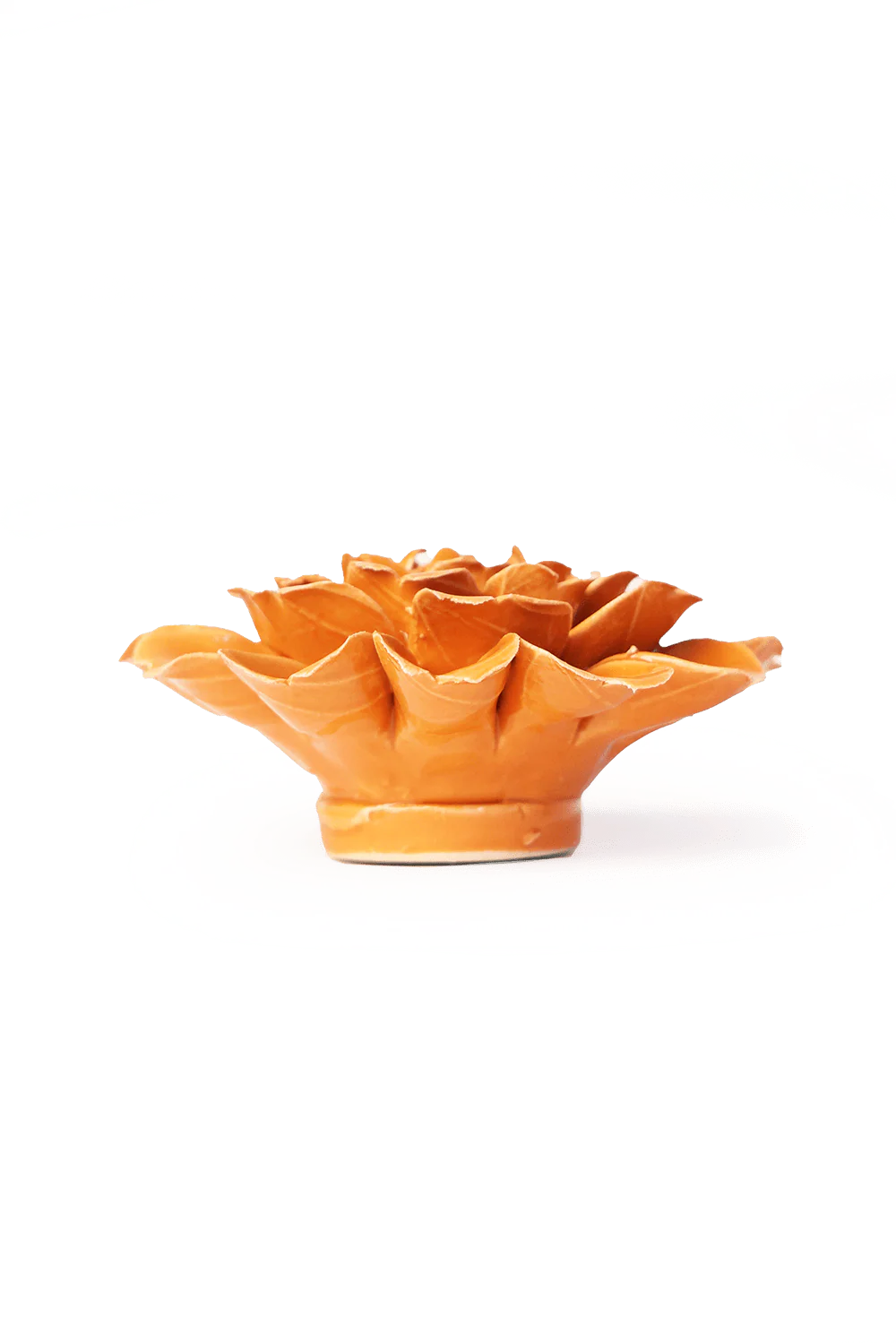 Orange Fiesta Marigold - Image 2