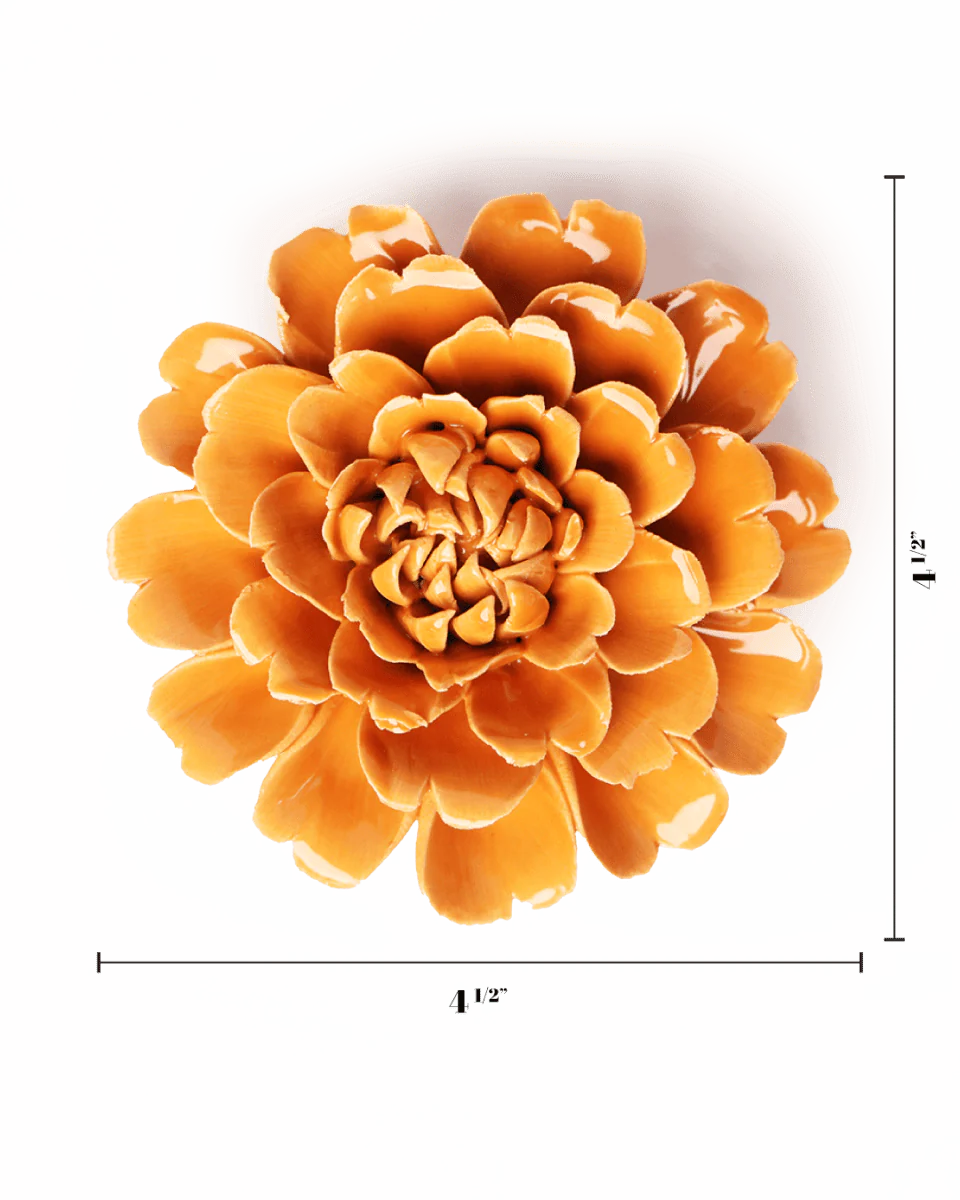 Orange Fiesta Marigold - Image 3