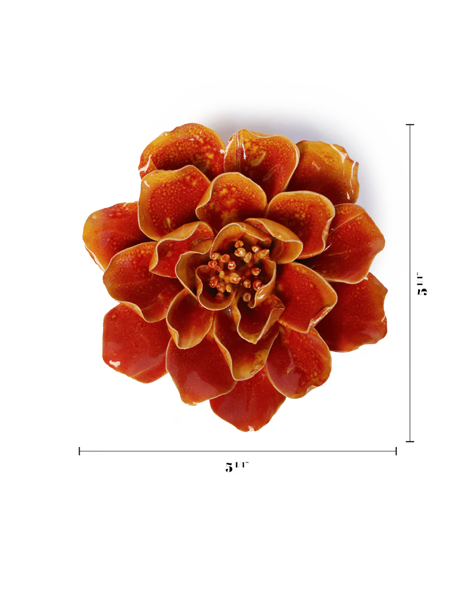 Orange Yellow Coreopsis - Image 3
