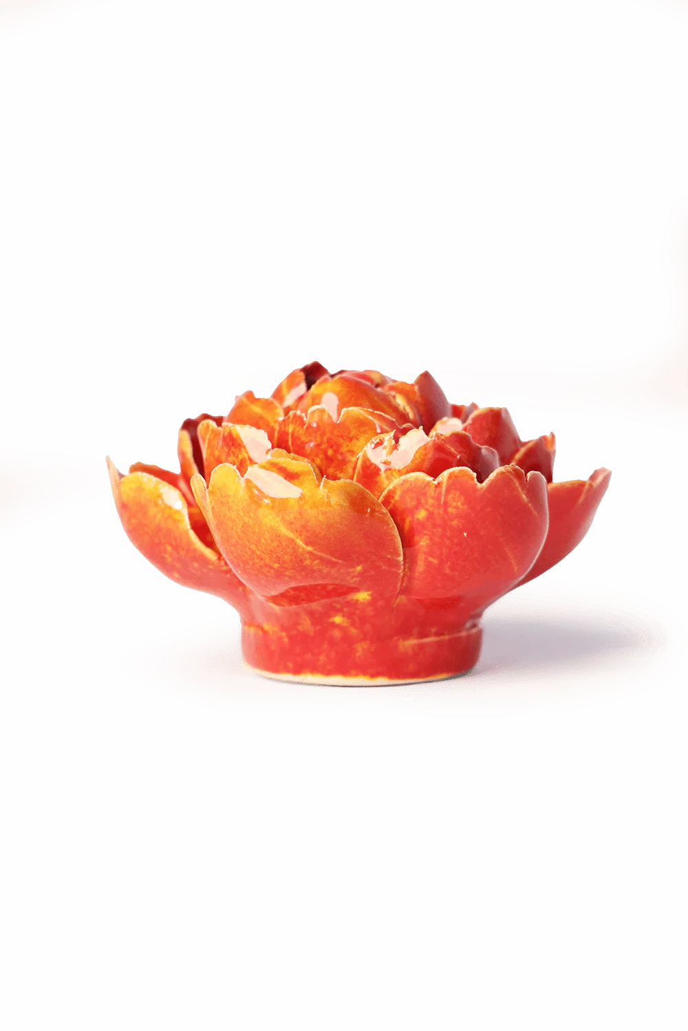 Orange Yellow Gay Paree Peony - Image 2