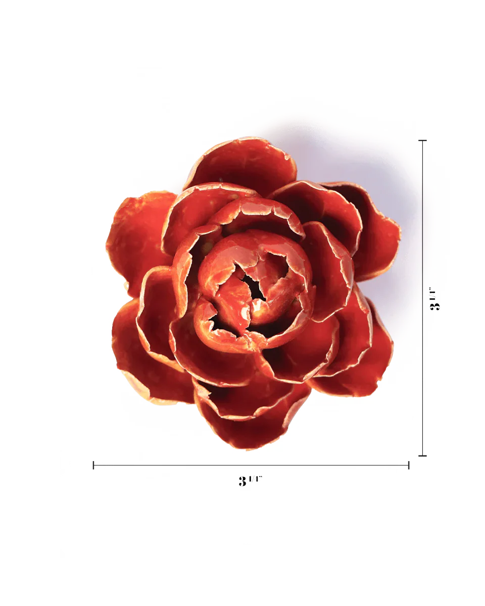 Orange Yellow Gay Paree Peony - Image 3