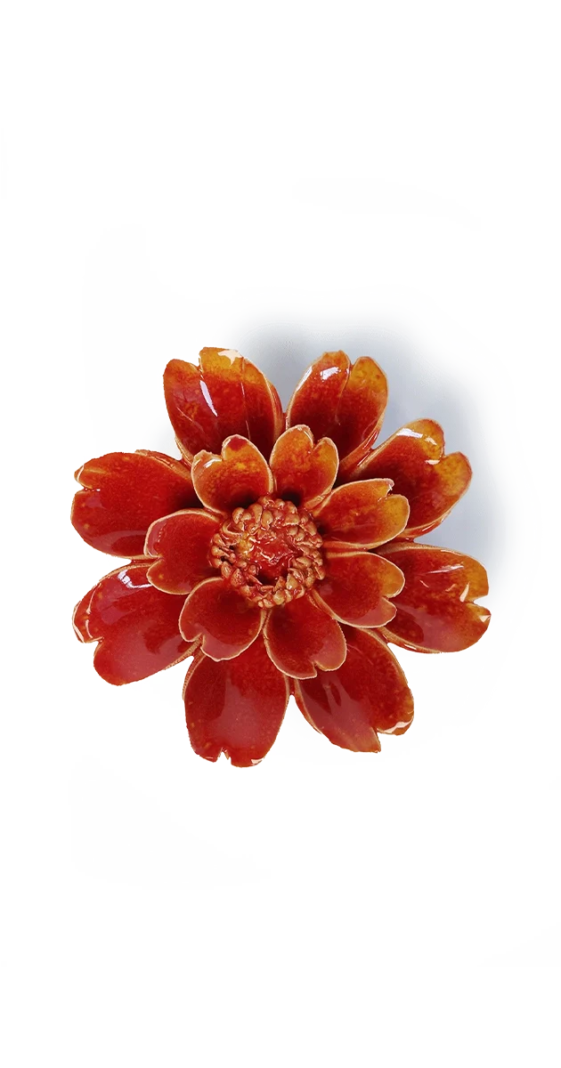Orange Yellow Paris Daisy
