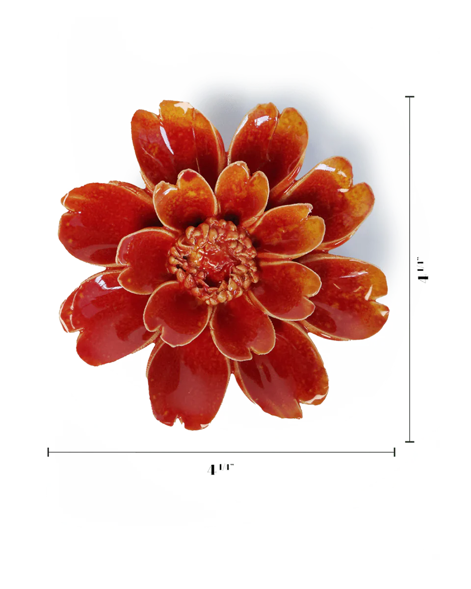 Orange Yellow Paris Daisy - Image 3