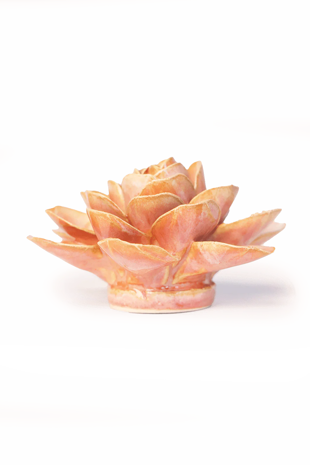Peach Pink Begonia - Image 2