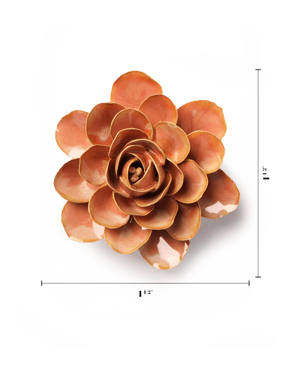 Peach Pink Begonia - Image 3