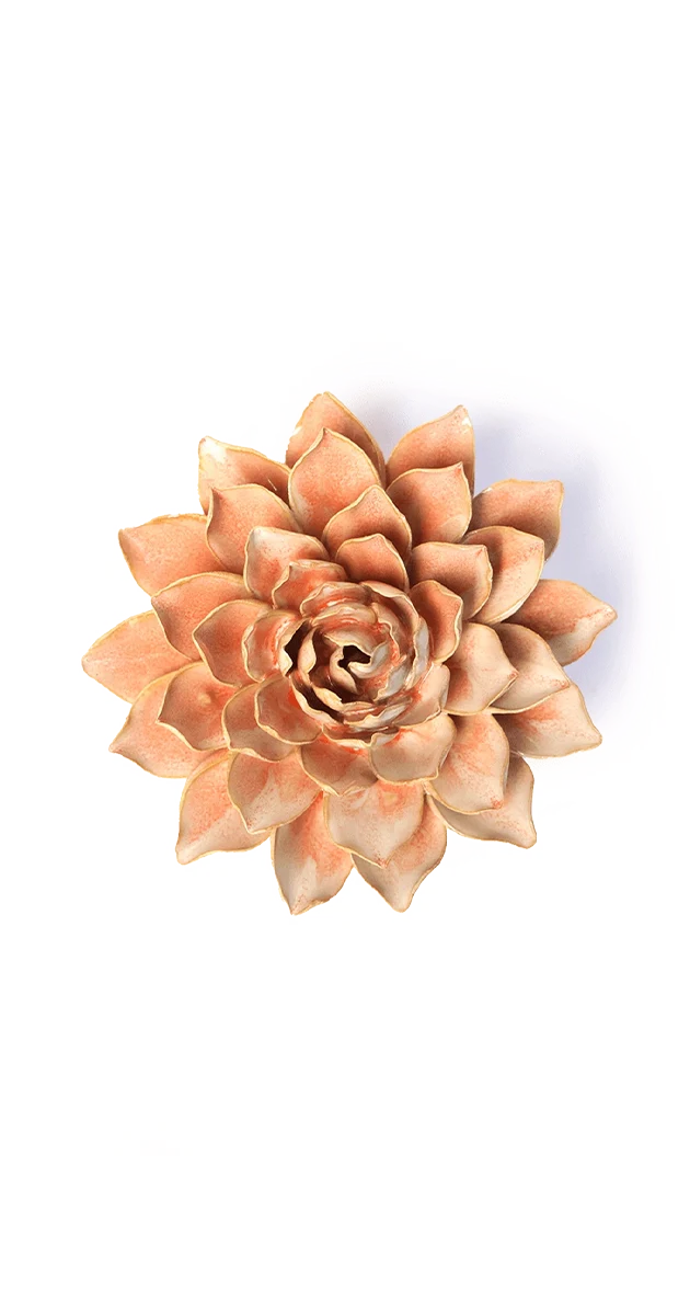 Peach Pink Madonna Azalea