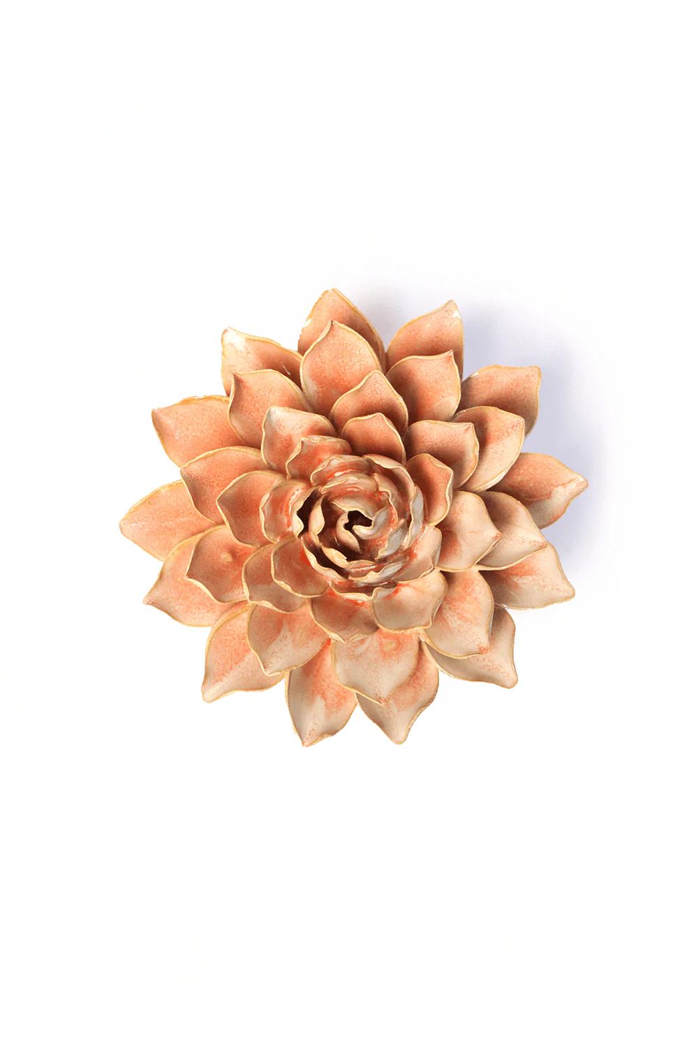 Peach Pink Madonna Azalea - Image 2