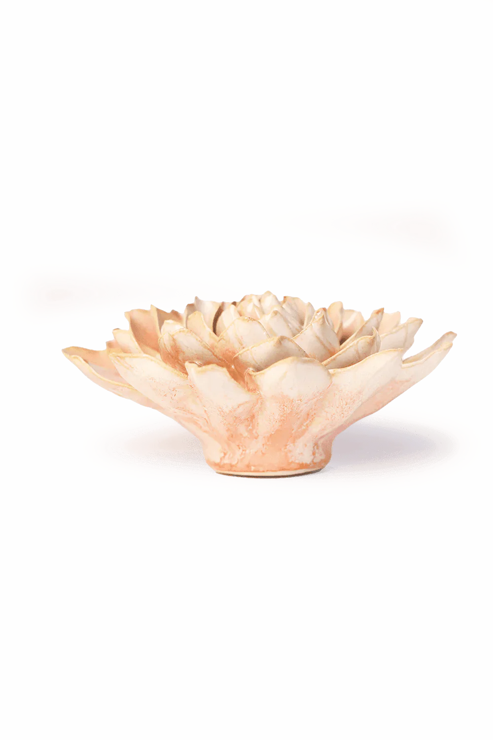 Peach Pink Madonna Azalea - Image 3