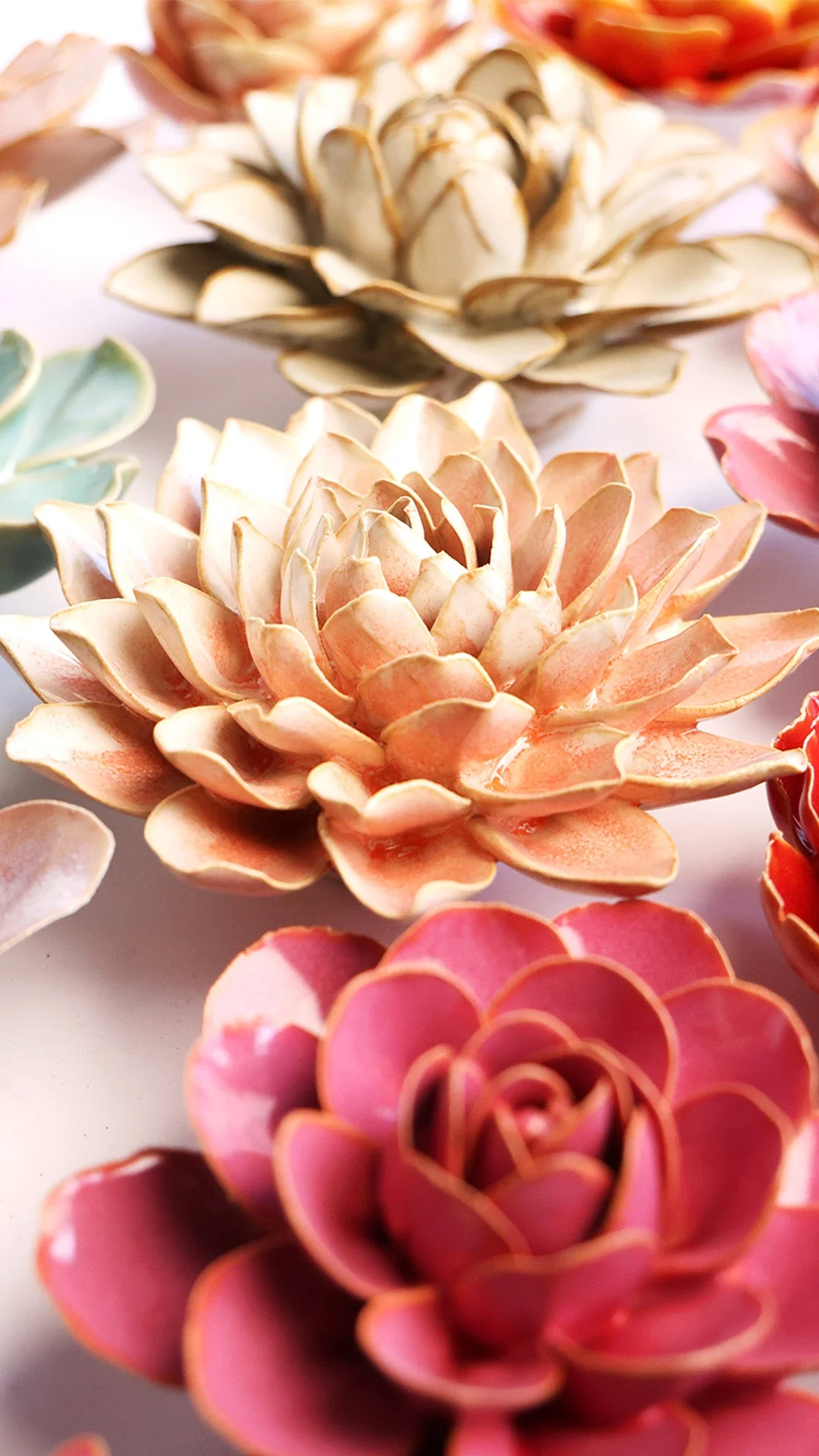 Peach Pink Madonna Azalea - Image 5