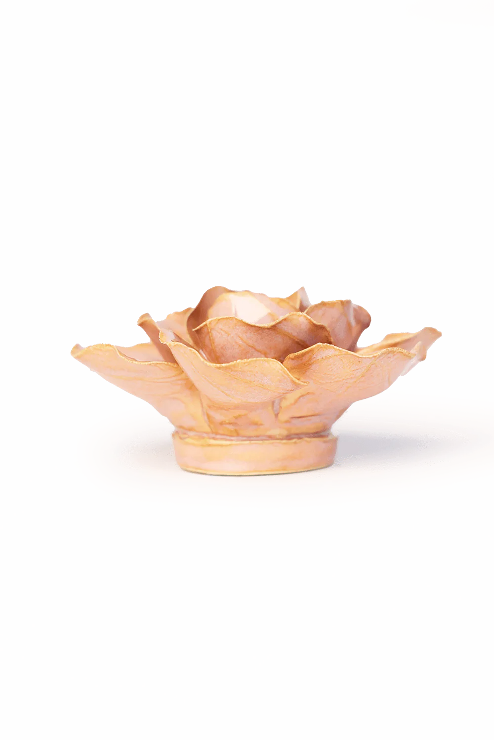 Peach Pink Solar Carnation - Image 2