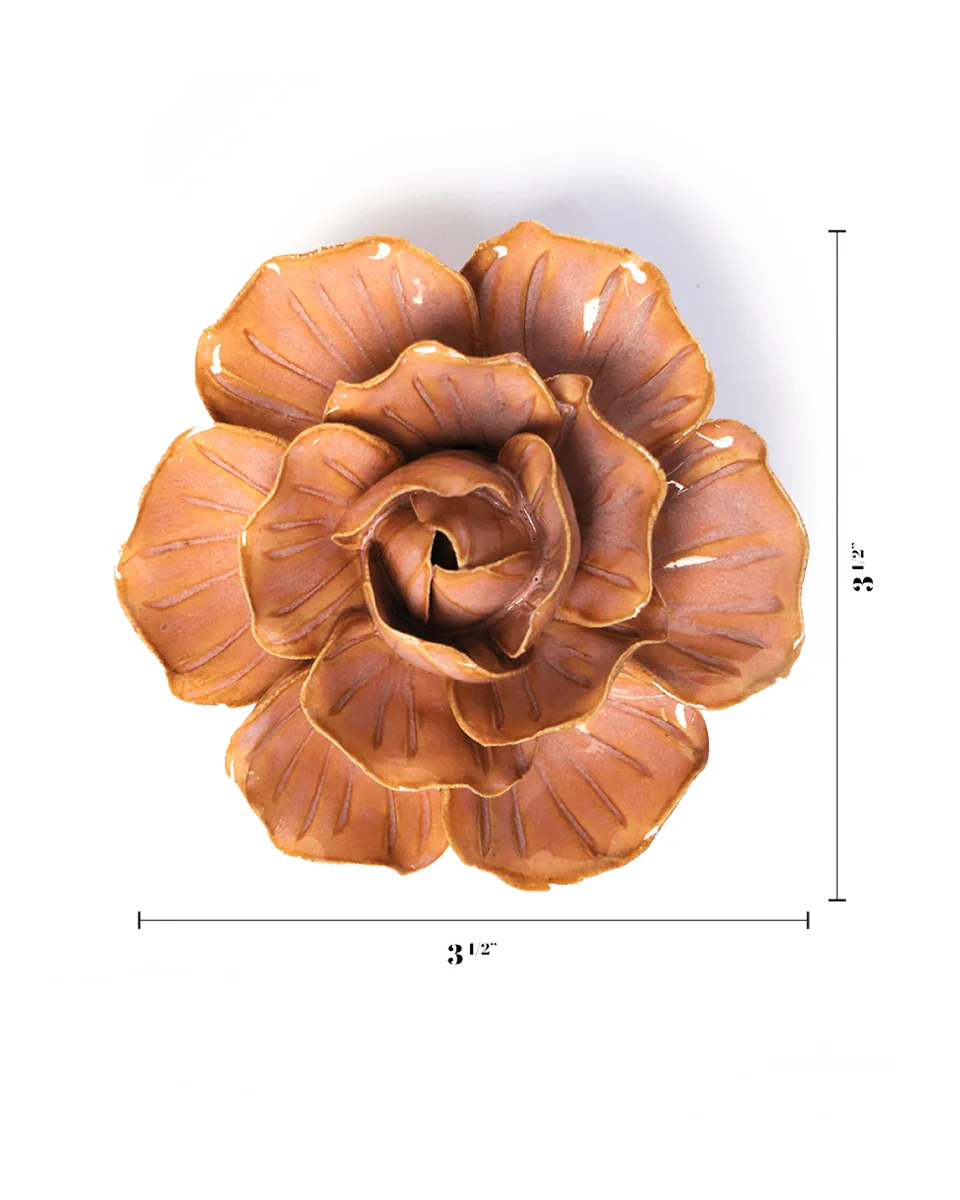 Peach Pink Solar Carnation - Image 3