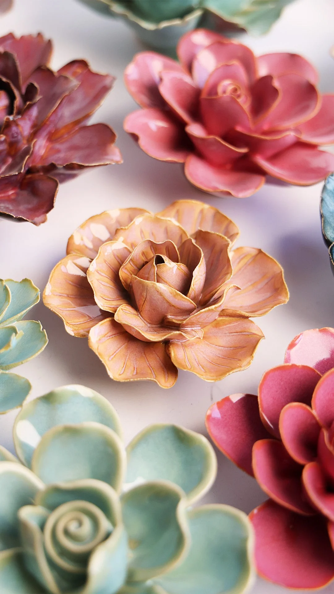 Peach Pink Solar Carnation - Image 4