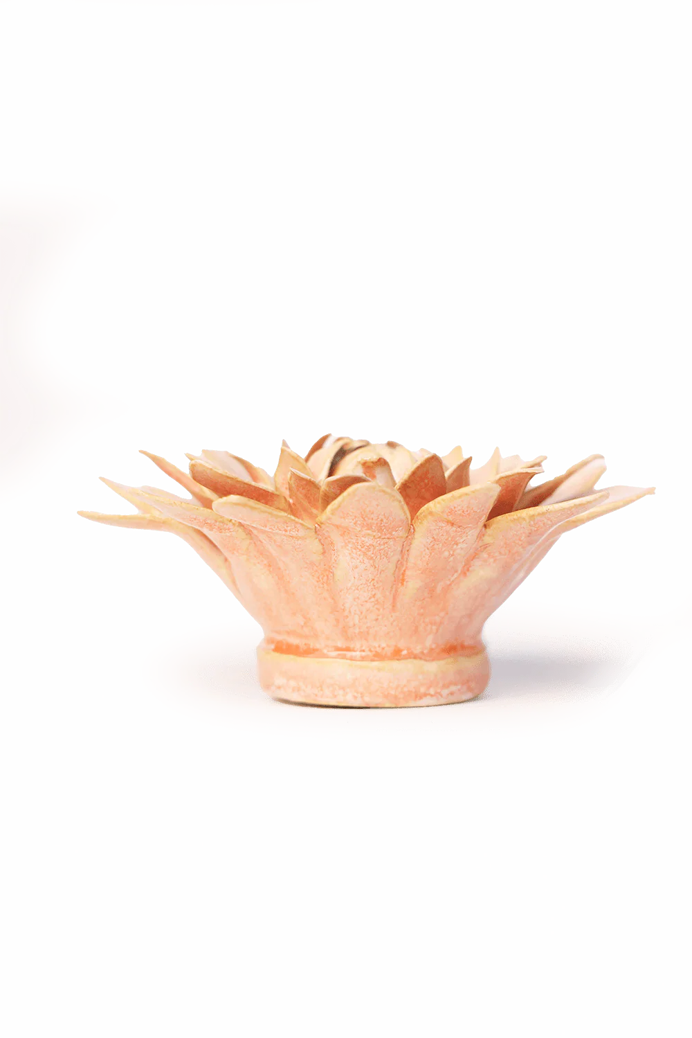 Peach Pink Strawflower - Image 2