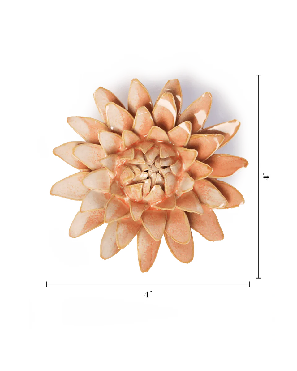 Peach Pink Strawflower - Image 3