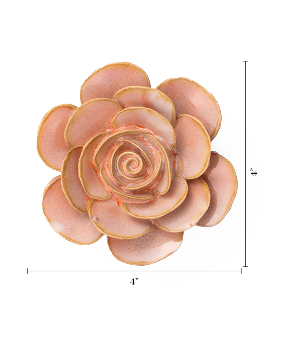 Peach Pink Cloni Ranunculus - Image 3