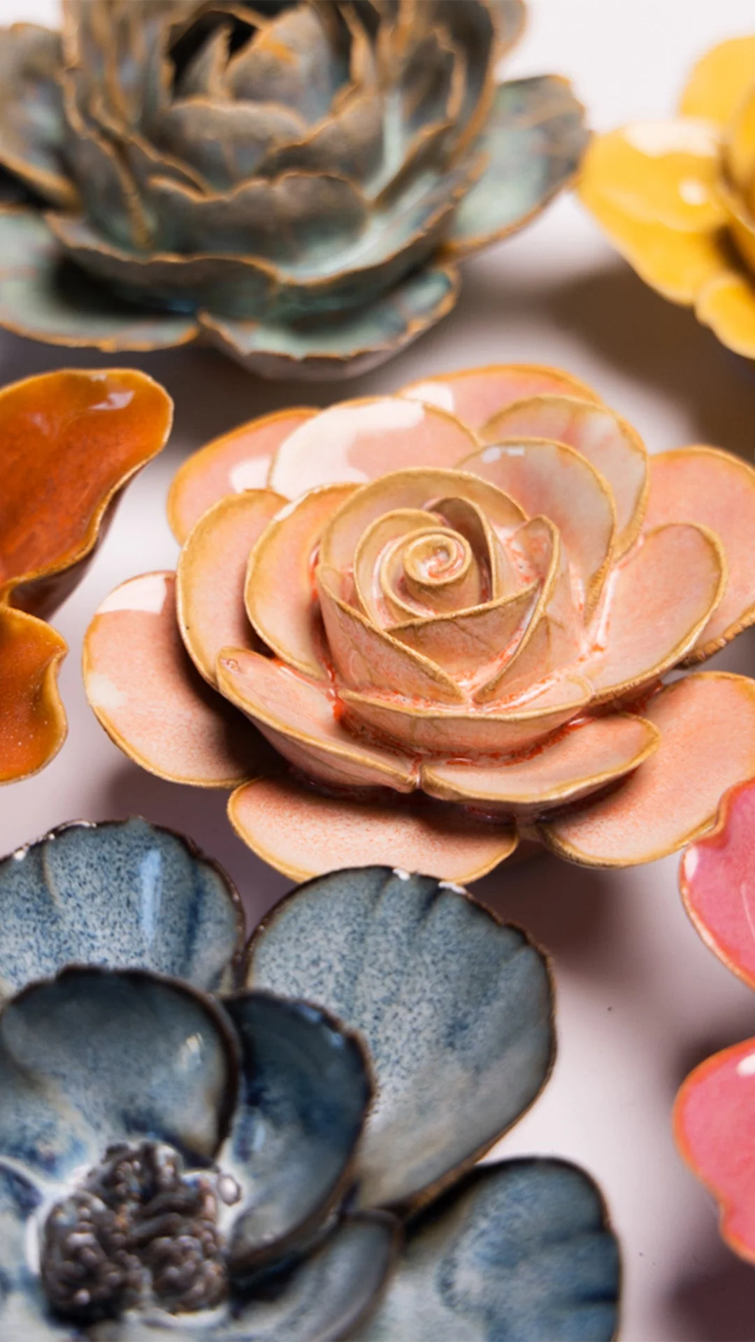 Peach Pink Cloni Ranunculus - Image 4