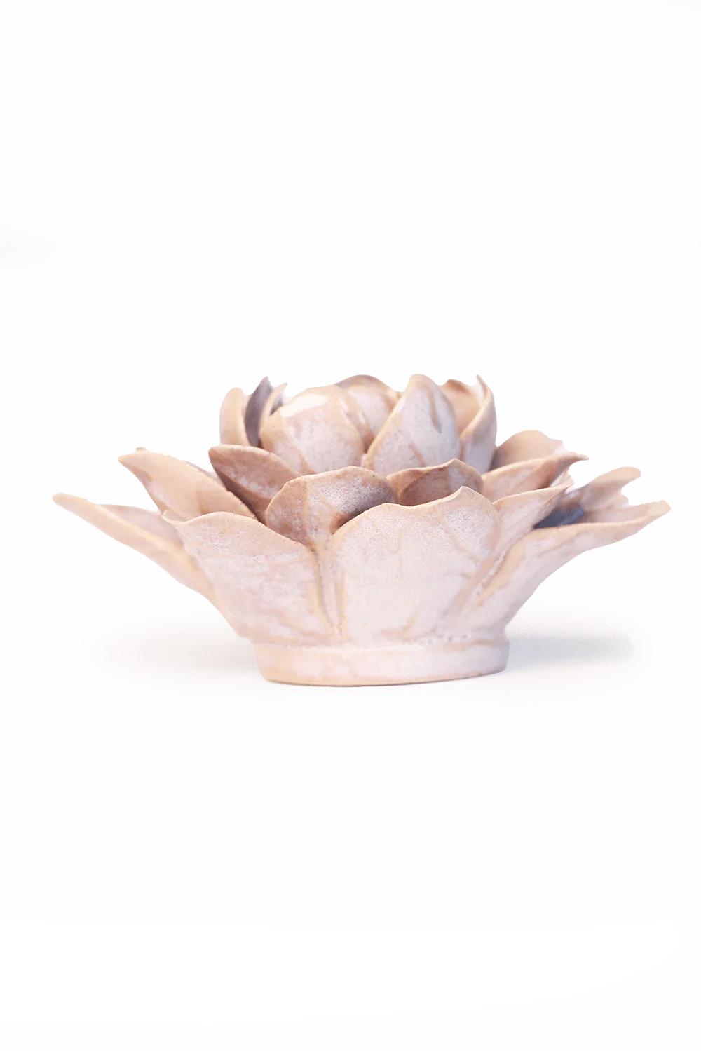 Pink Sand Starbrite Water Lily - Image 2