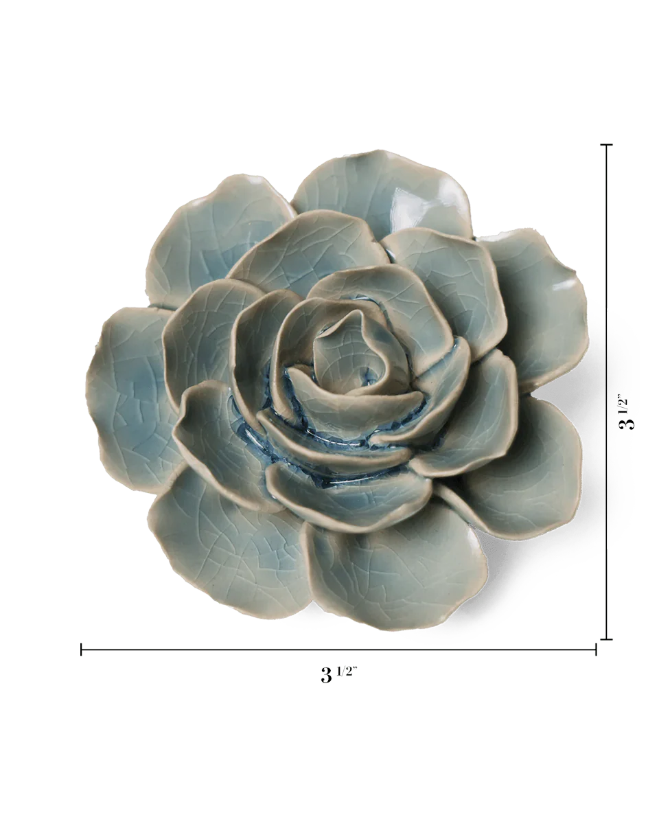 Powder Blue Amandine Ranunculus - Image 3