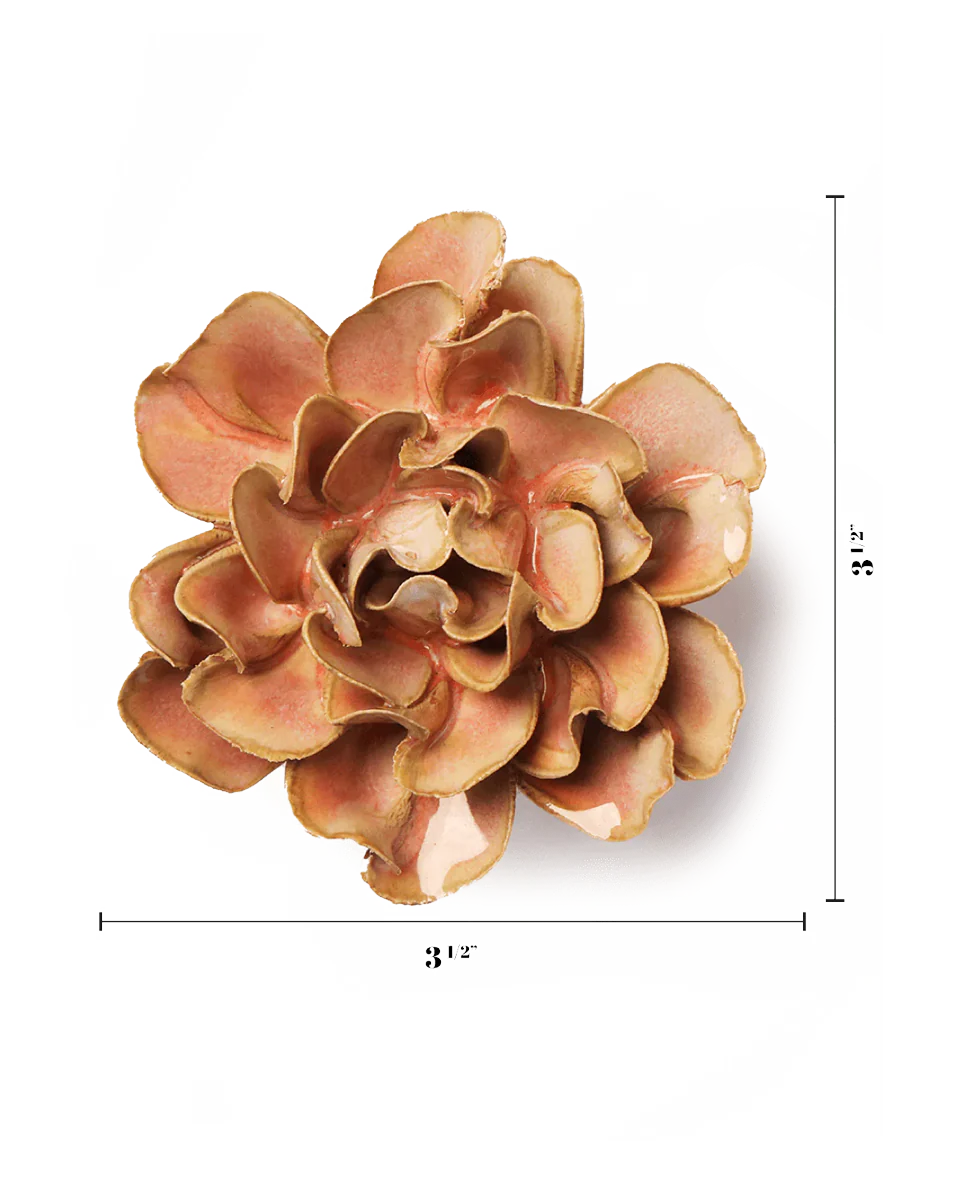Rose Pink Hawthorn - Image 3