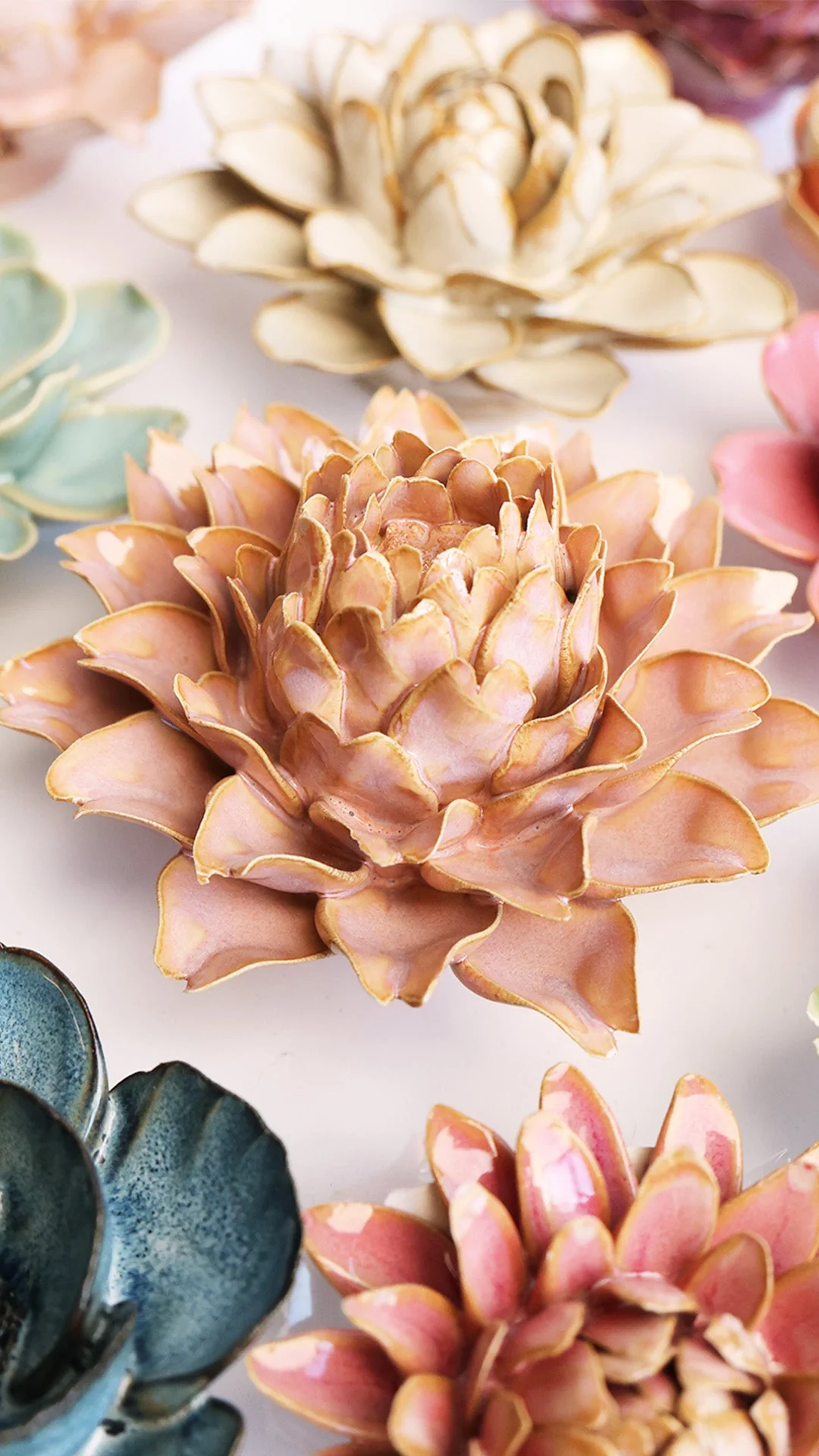 Rose Pink King Protea - Image 4
