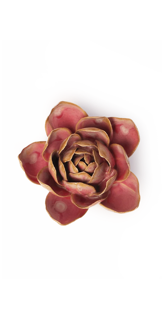 Rose Quartz Pink Narcissus