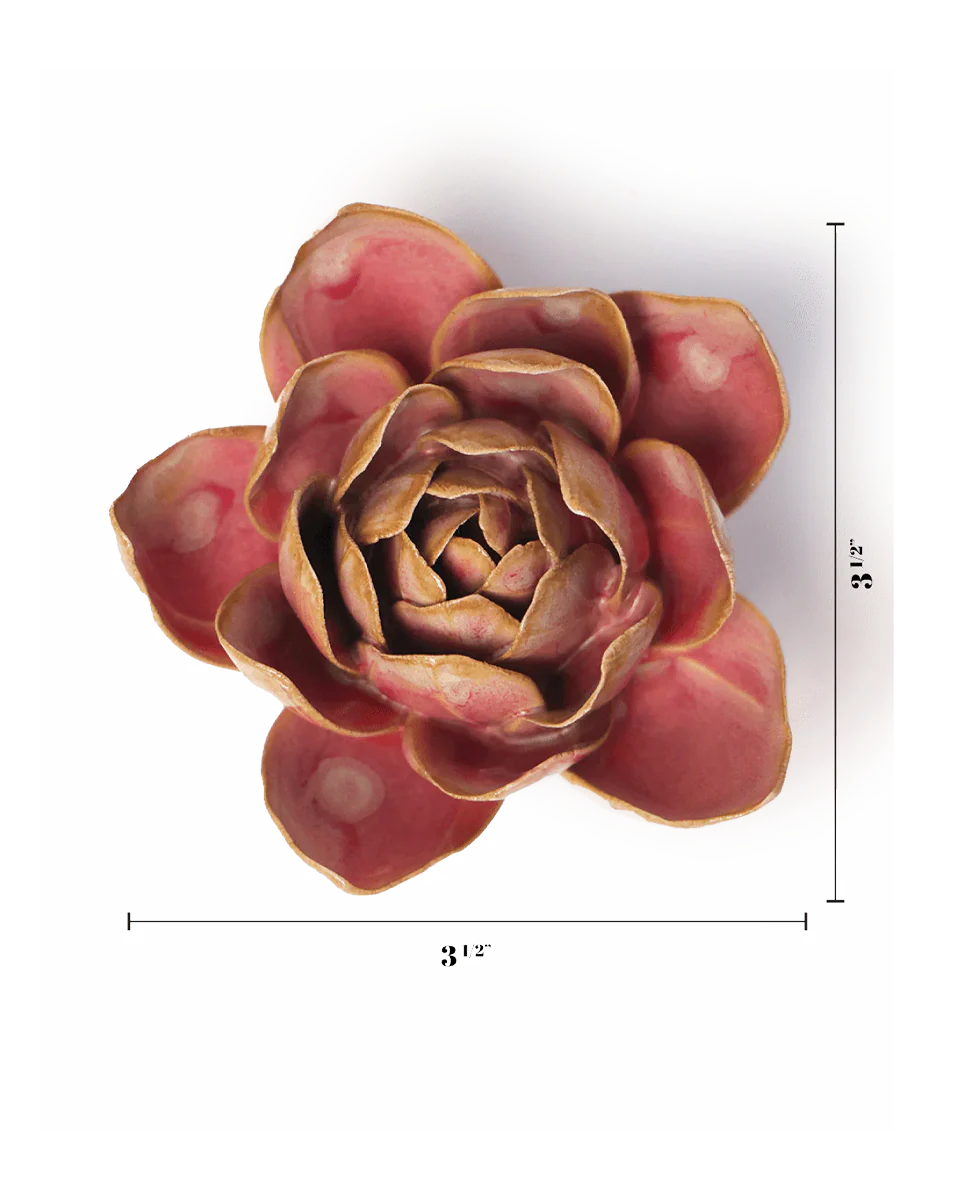 Rose Quartz Pink Narcissus - Image 3
