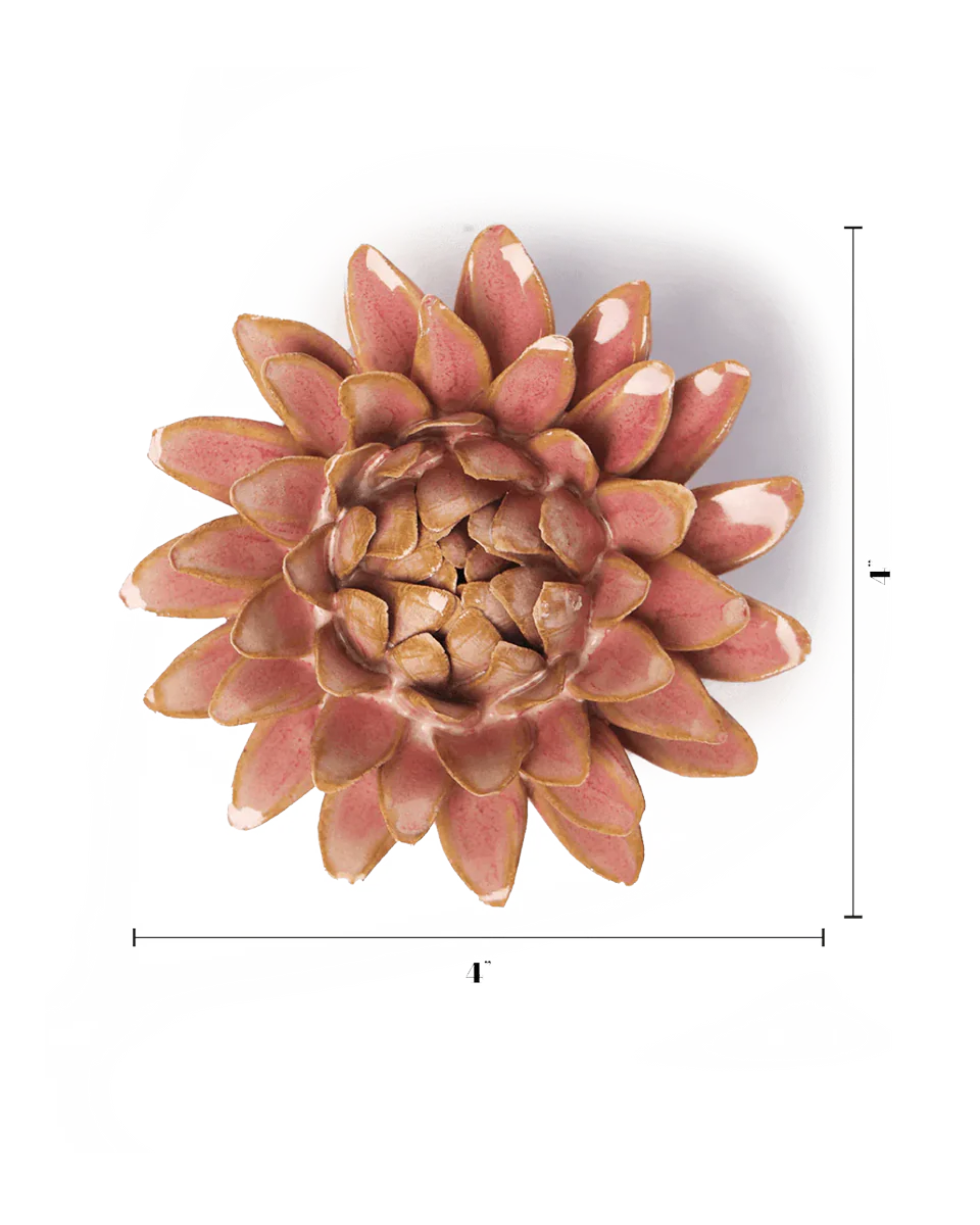Rose Quartz Pink Strawflower - Image 3