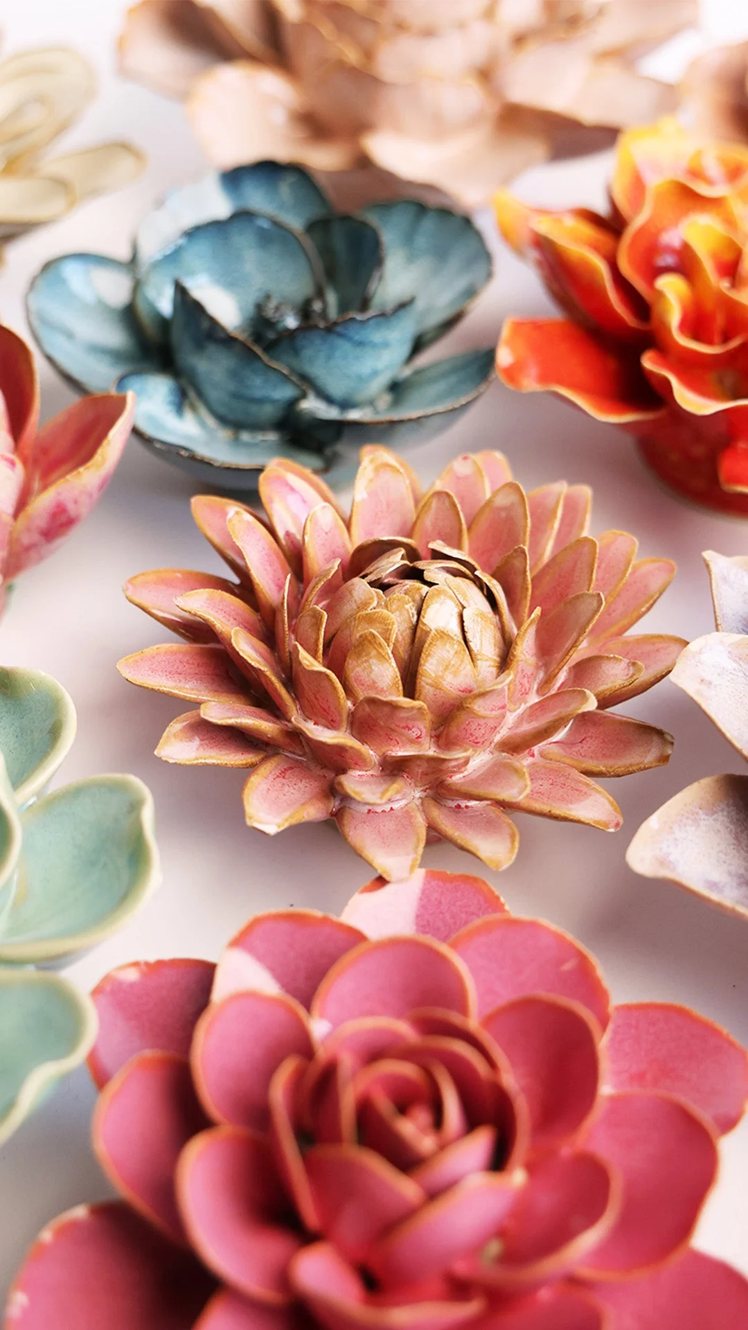 Rose Quartz Pink Strawflower - Image 4