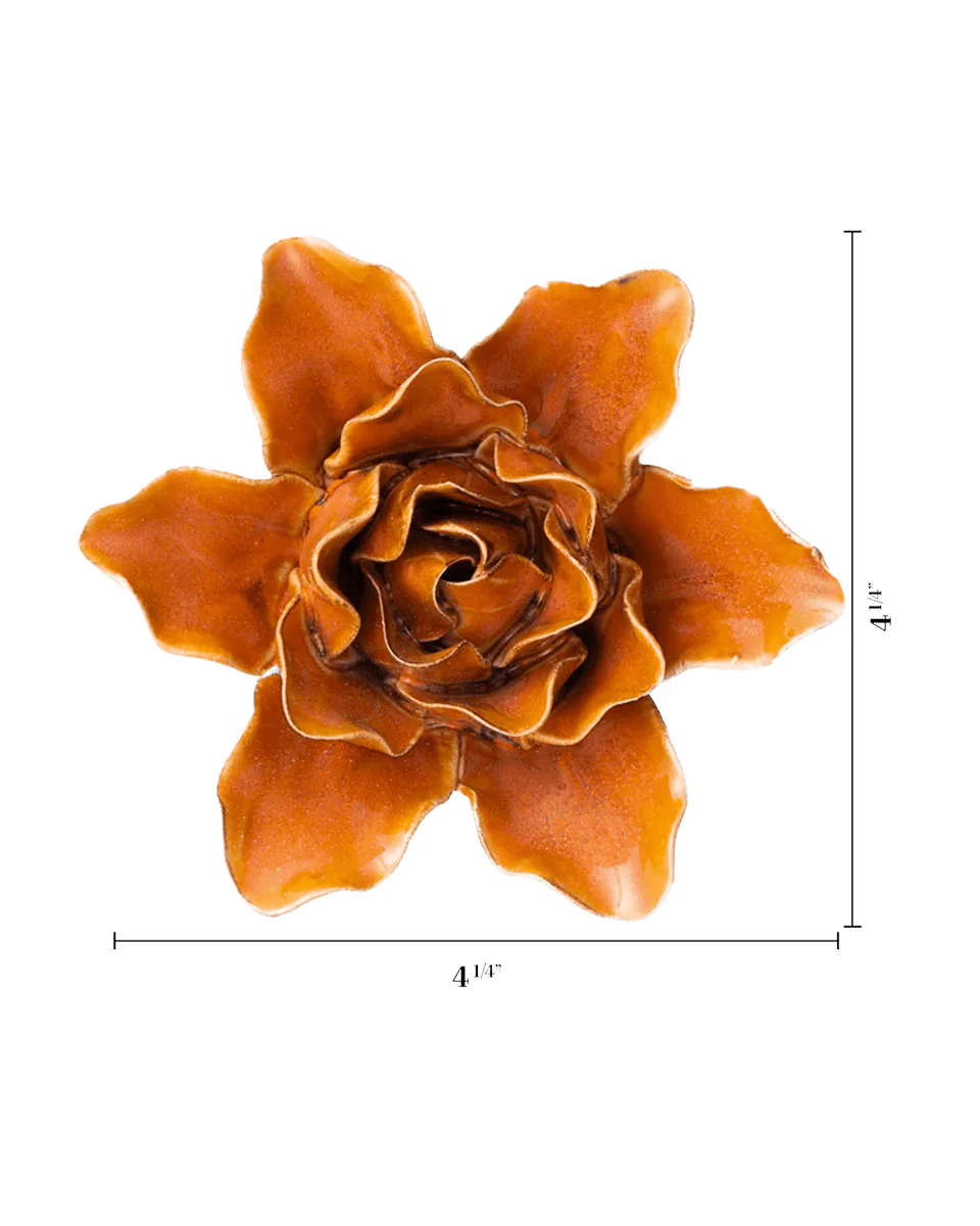 Burnt Orange Stargazer Lily - Image 3