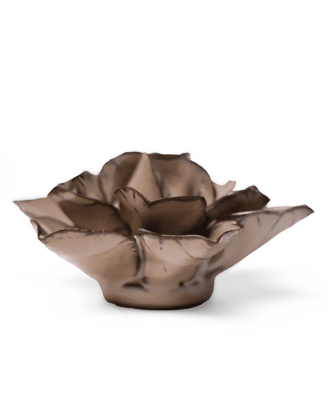 Latte Daffodil - Image 2