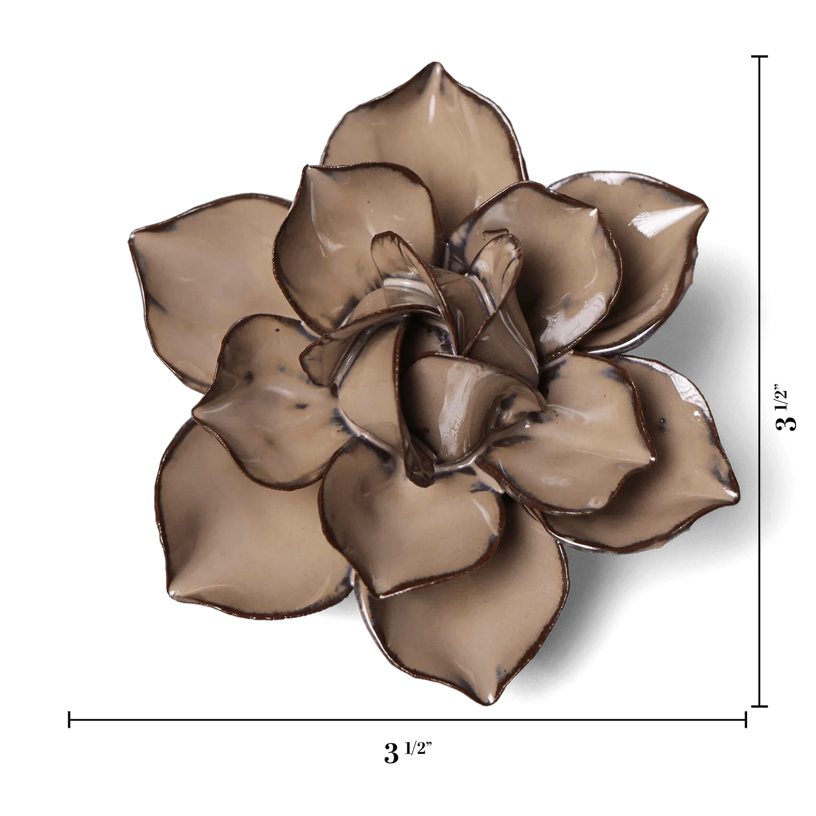 Latte Daffodil - Image 3