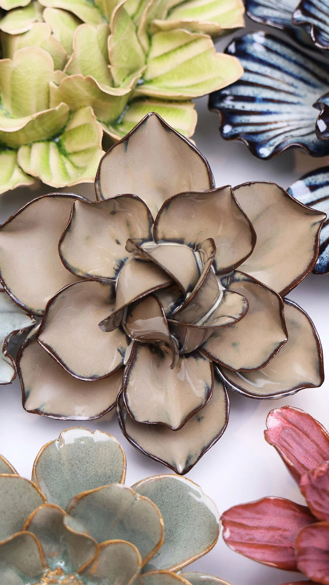 Latte Daffodil - Image 4