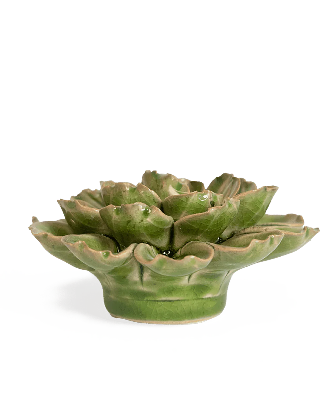 Avocado Green Petunia - Image 2