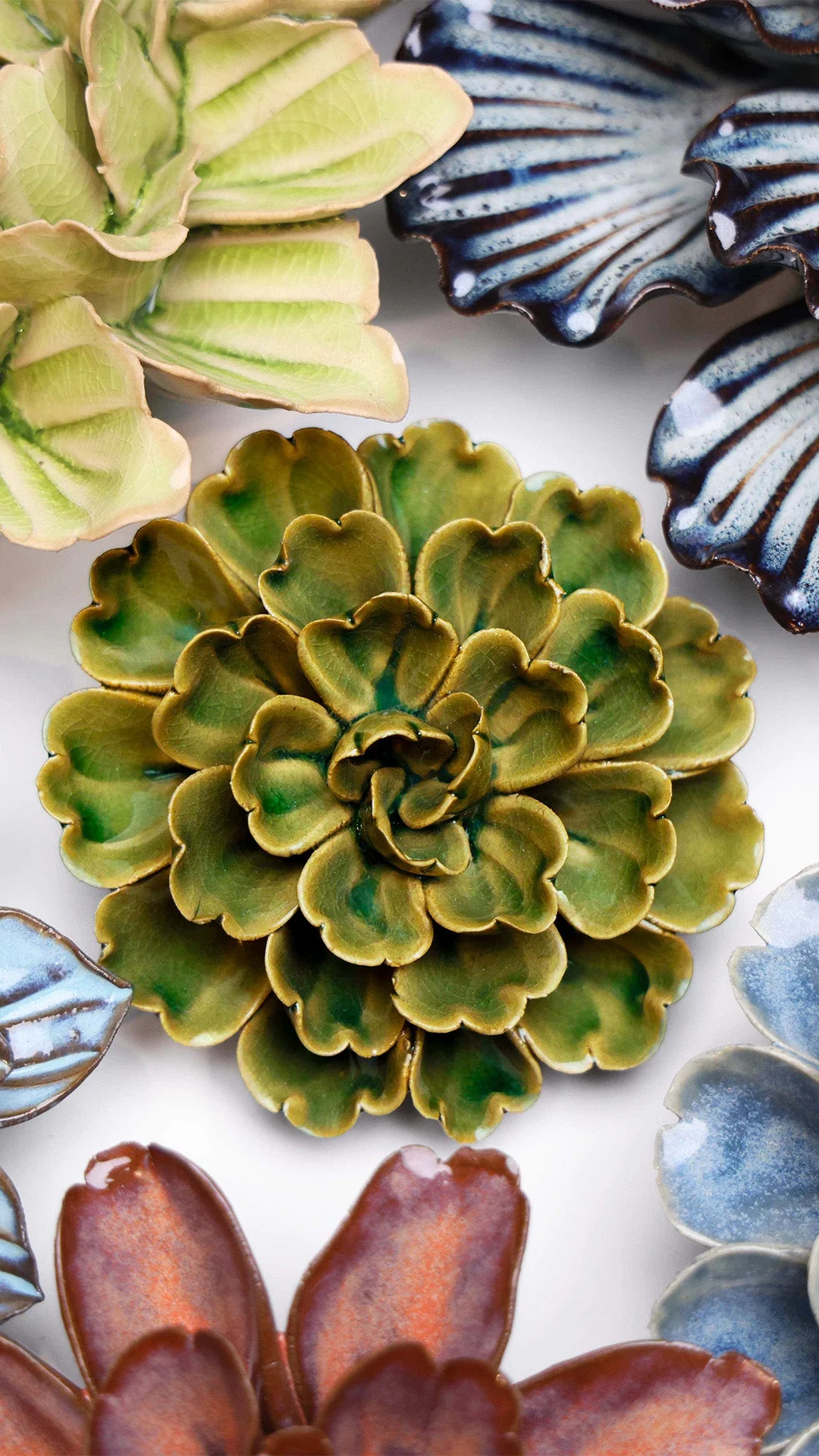 Avocado Green Petunia - Image 4