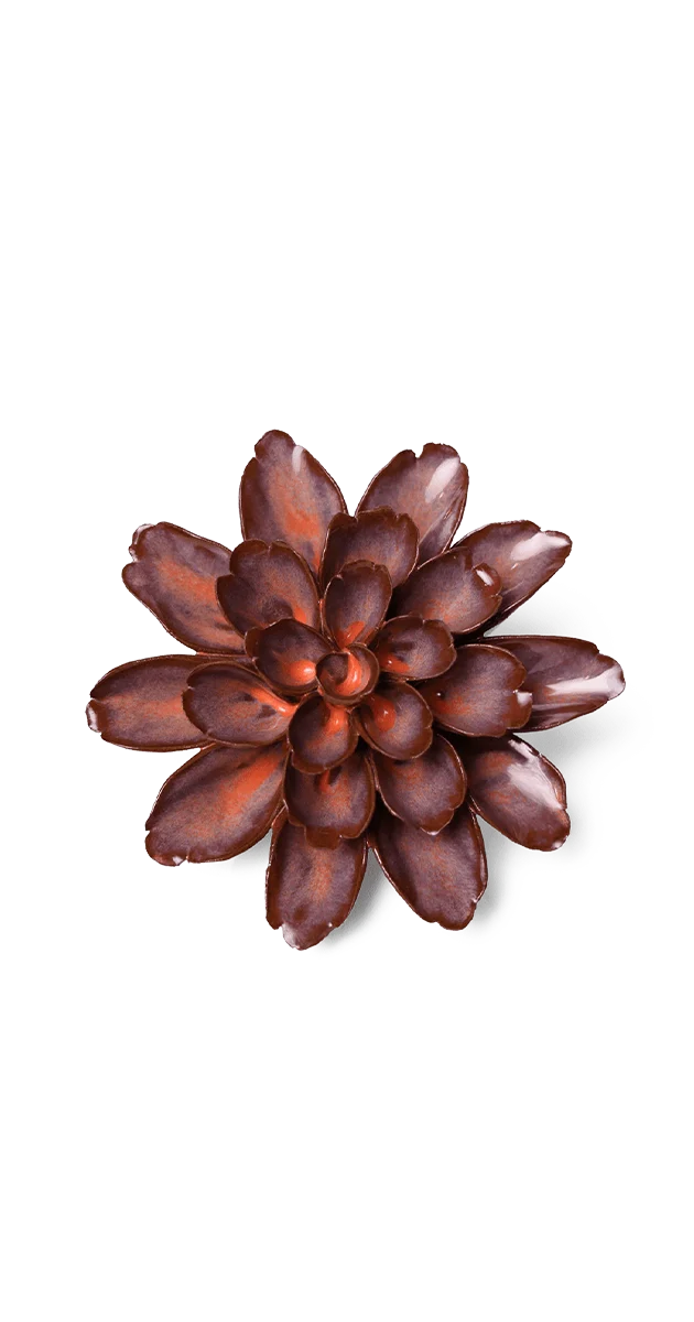 Peach Mocha Cornflower