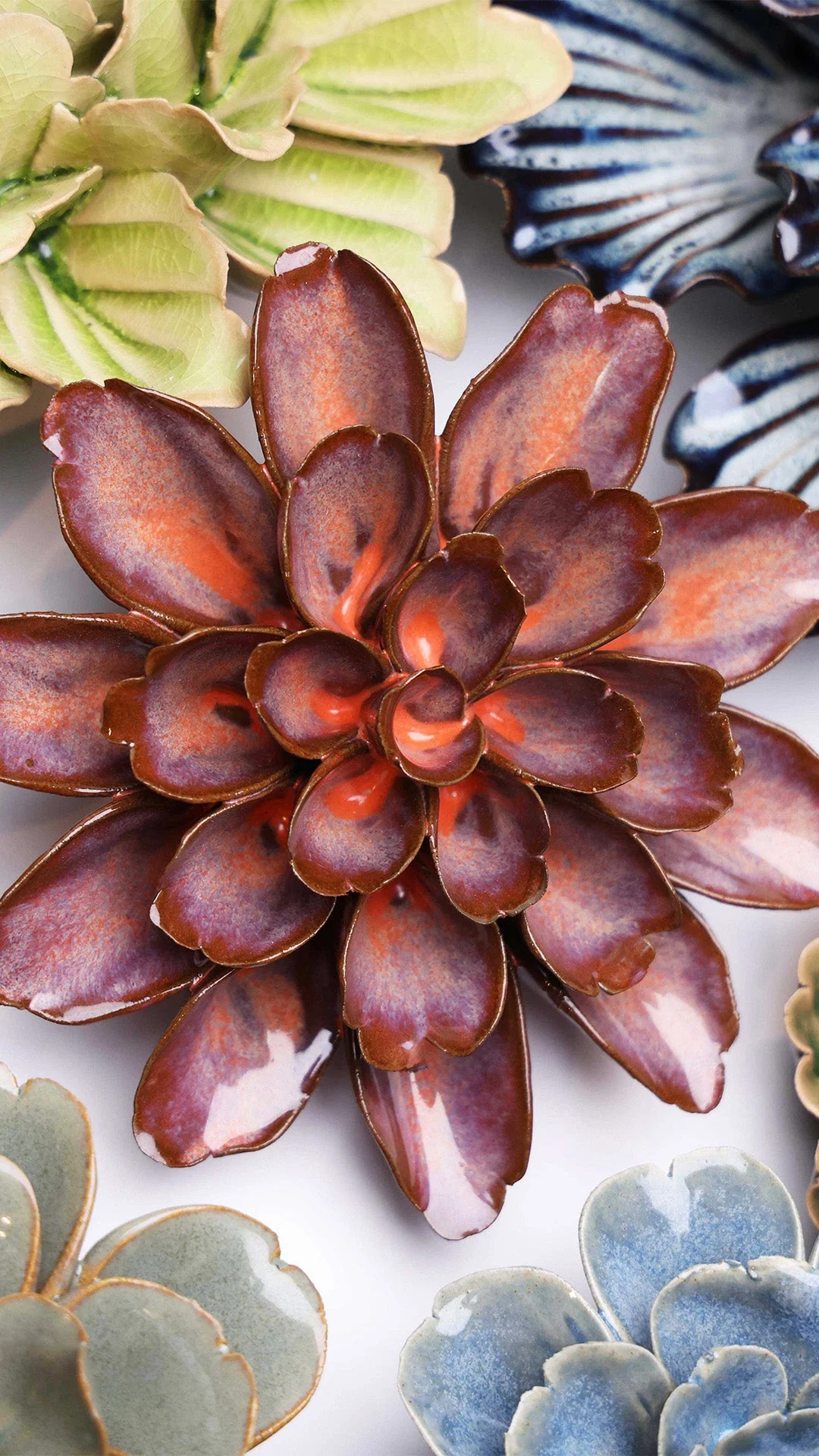 Peach Mocha Cornflower - Image 4