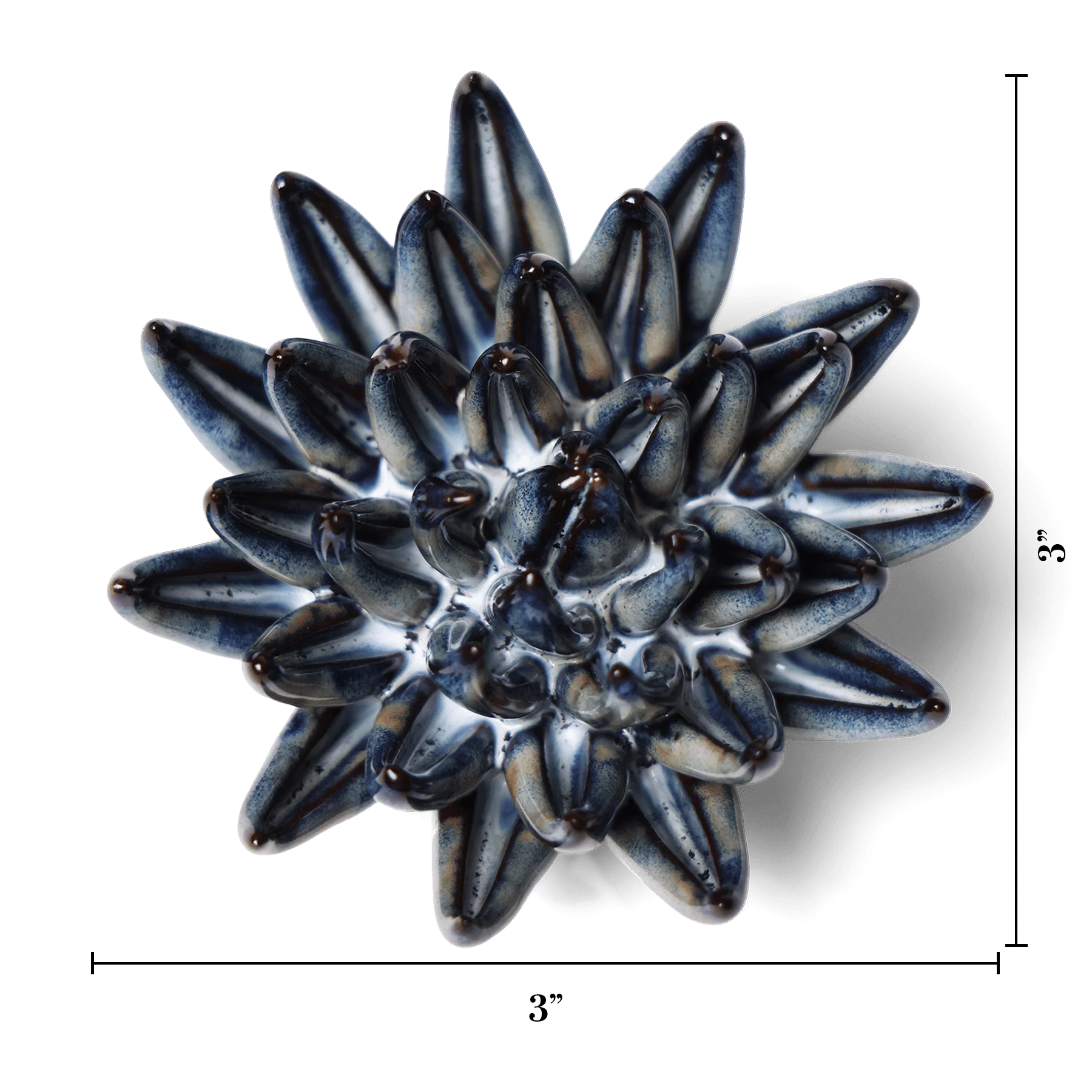 Navy Blue Chalksticks Succulent - Image 3