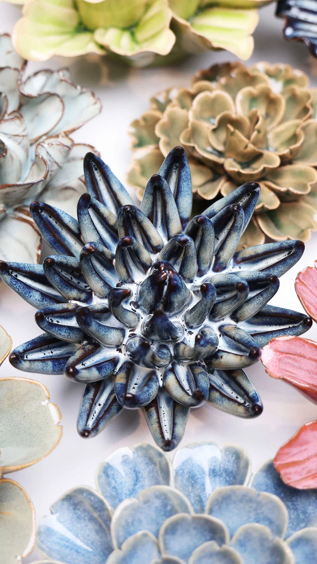 Navy Blue Chalksticks Succulent - Image 4