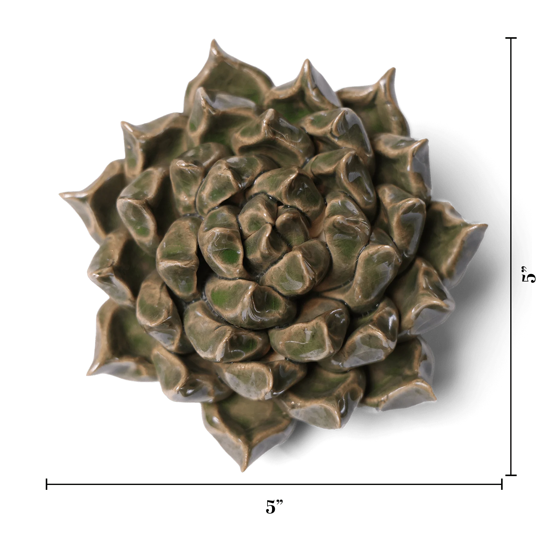 Succulent Green 6 - Image 3