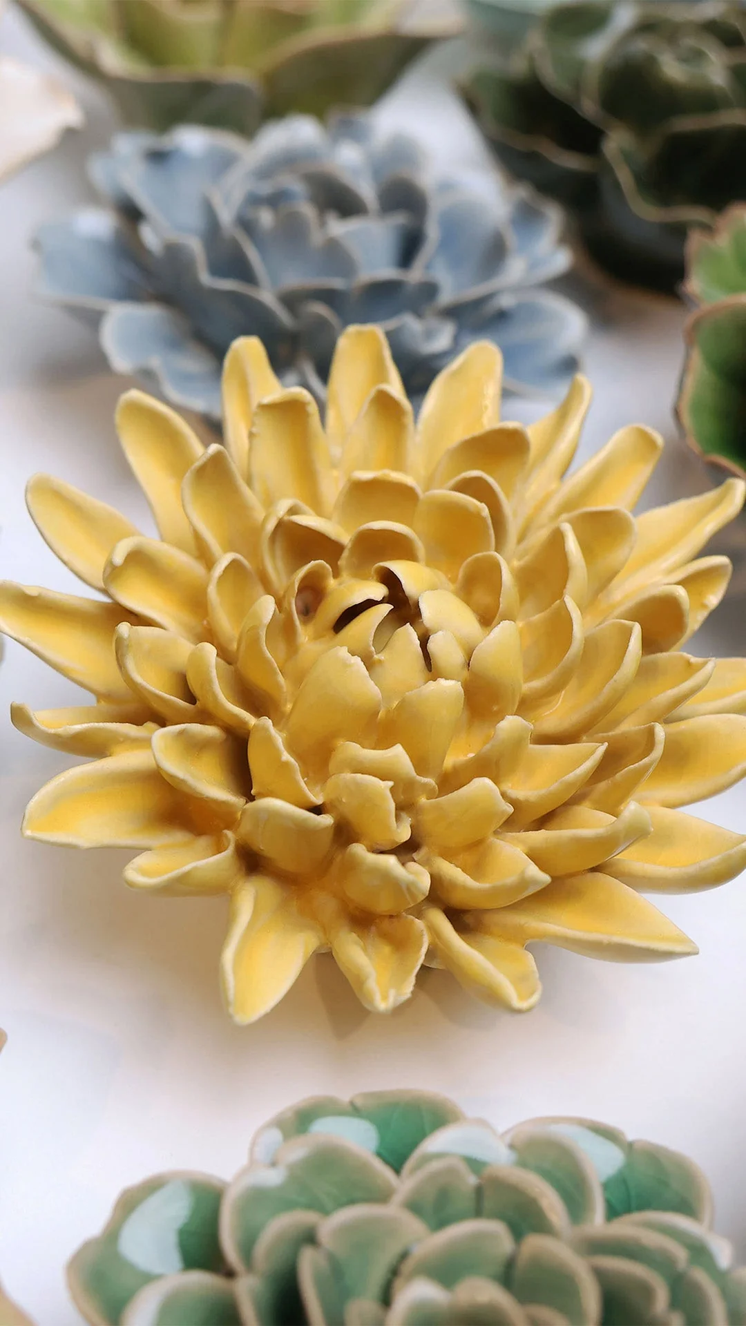 Buttercup Yellow Chrysanthemum - Image 4