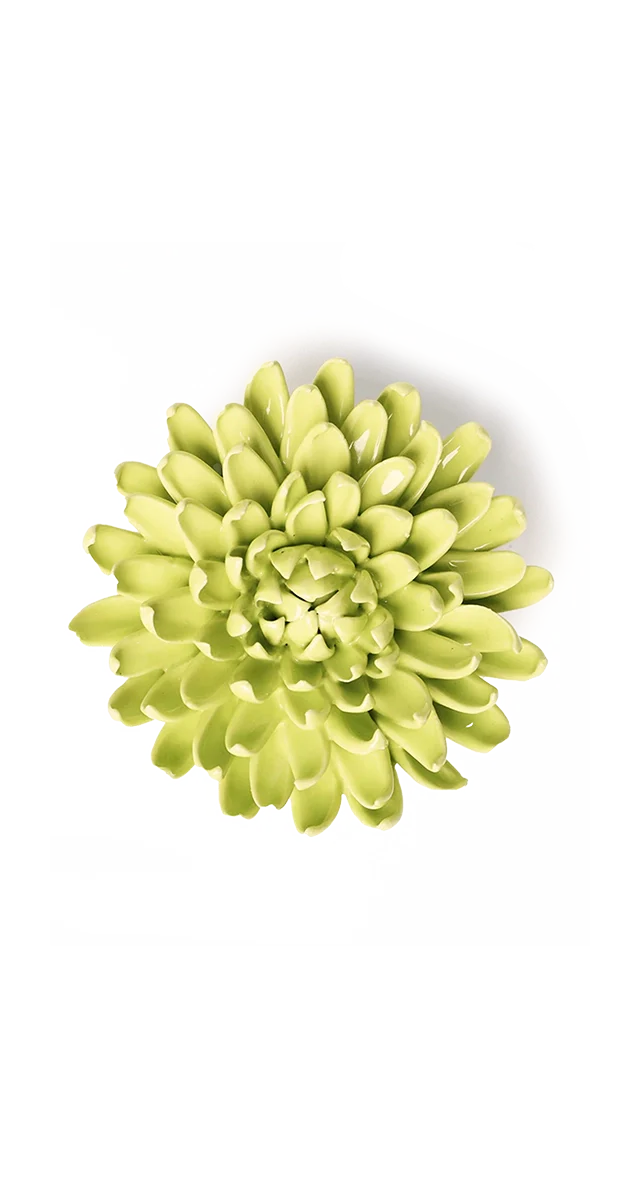 Yellow Green Pompom Mum