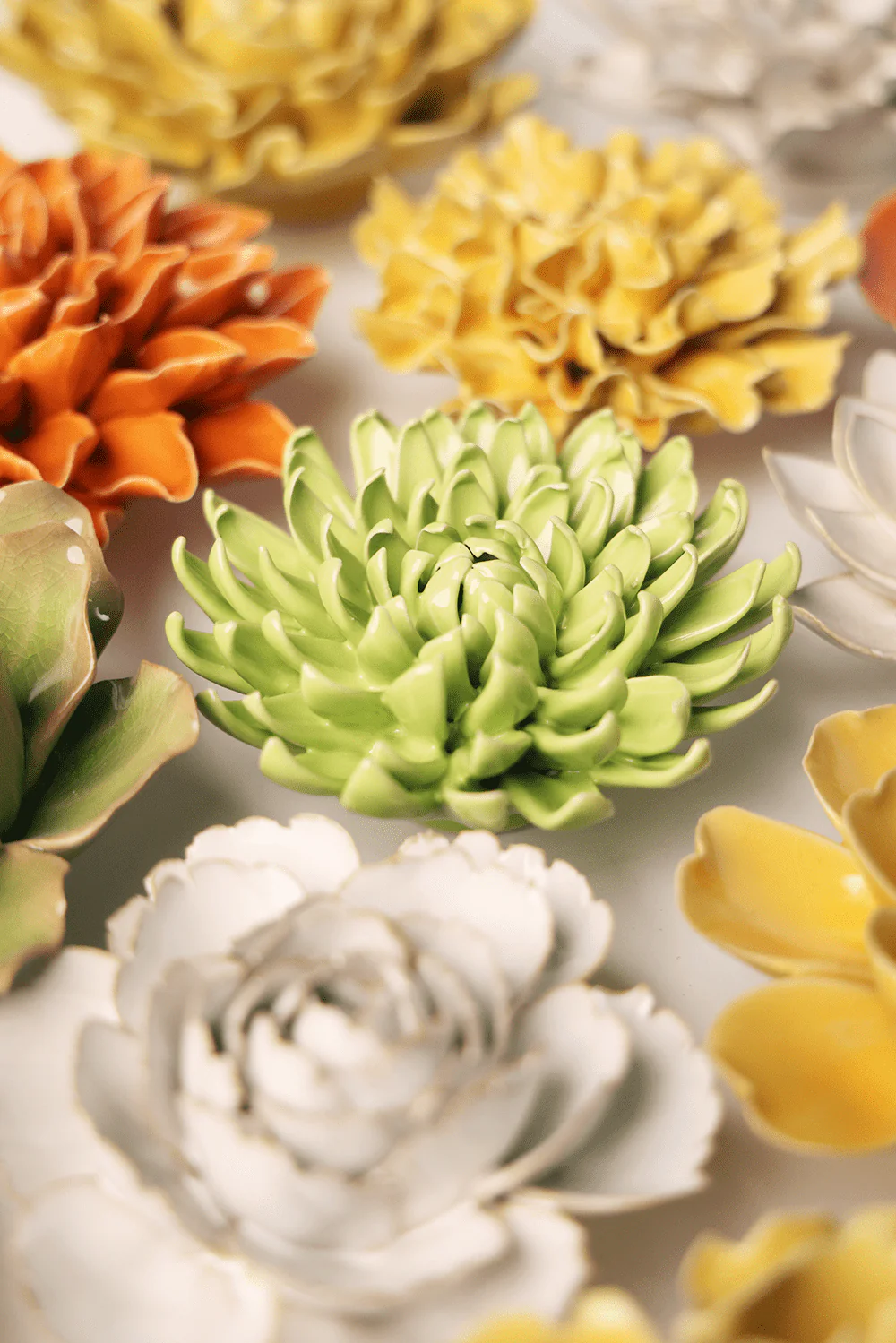Yellow Green Pompom Mum - Image 4