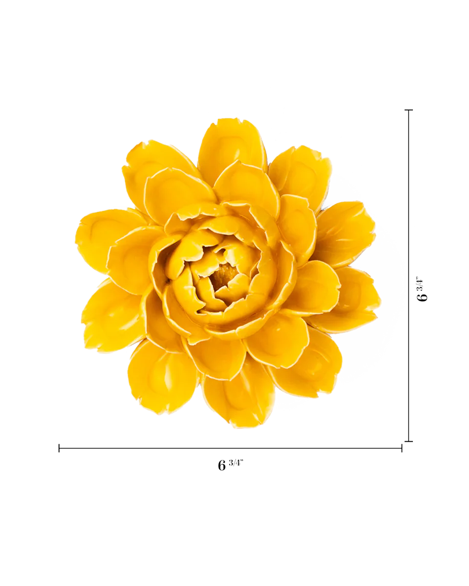 Burnt Yellow Empire Cabbage Flower - Image 3