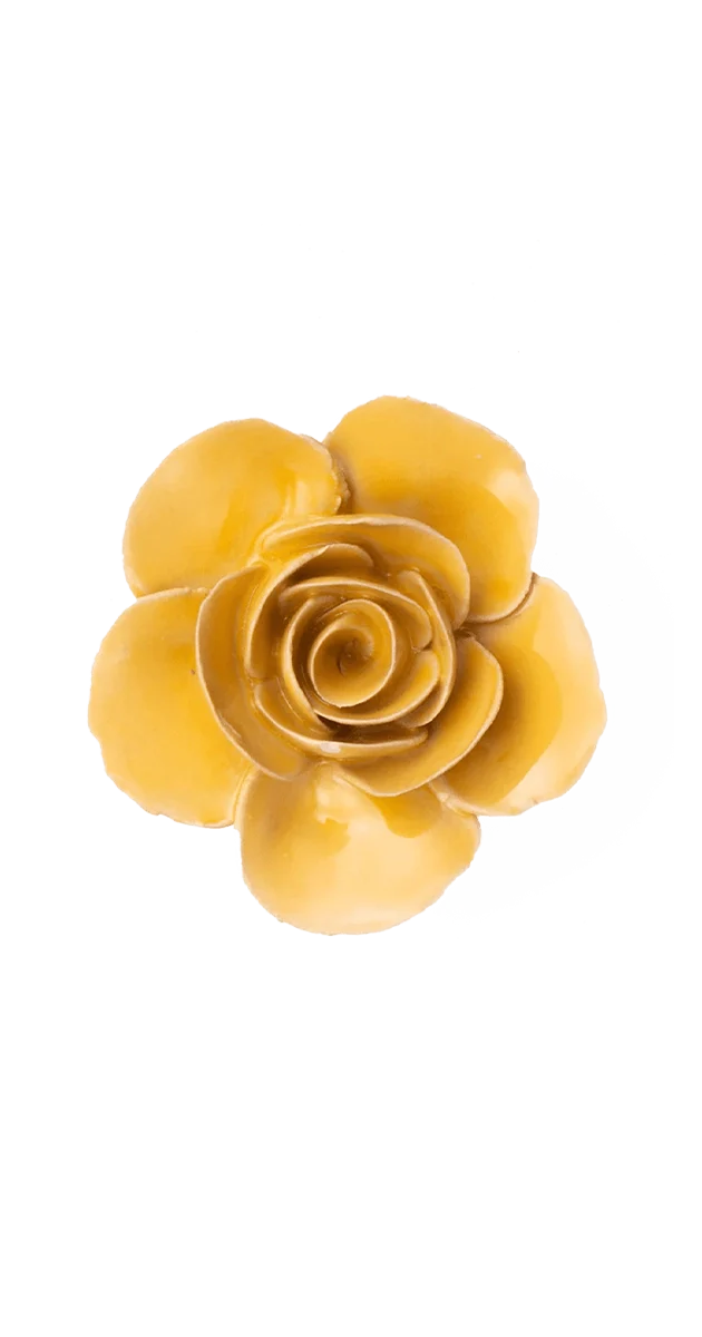 Burnt Yellow Elegance Ranunculus