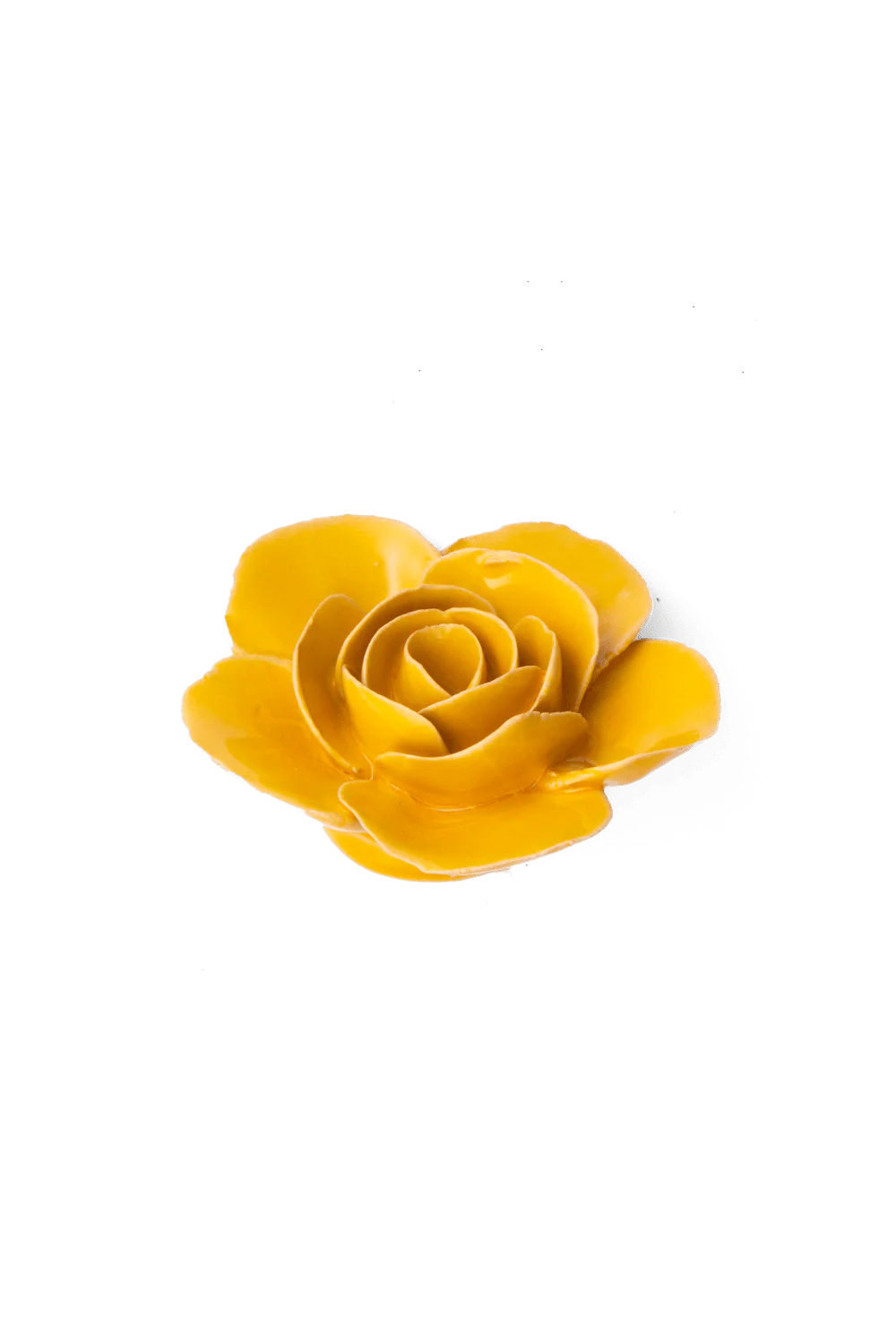 Burnt Yellow Elegance Ranunculus - Image 2
